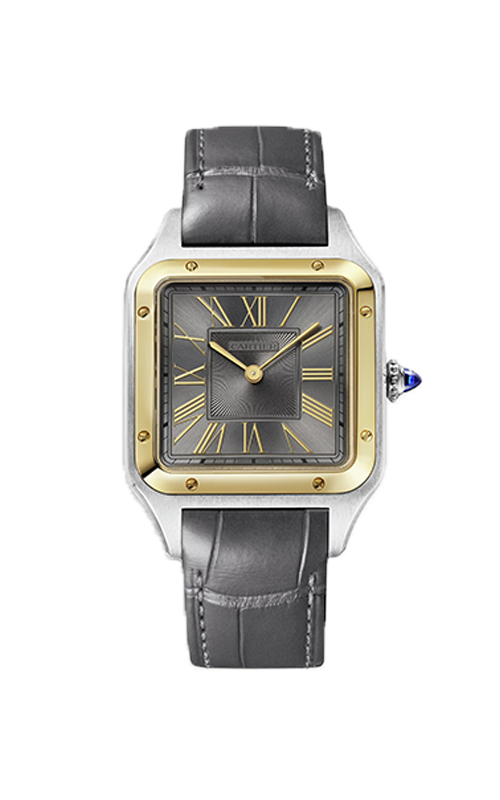 Cartier W2SA0028 Santos Watches