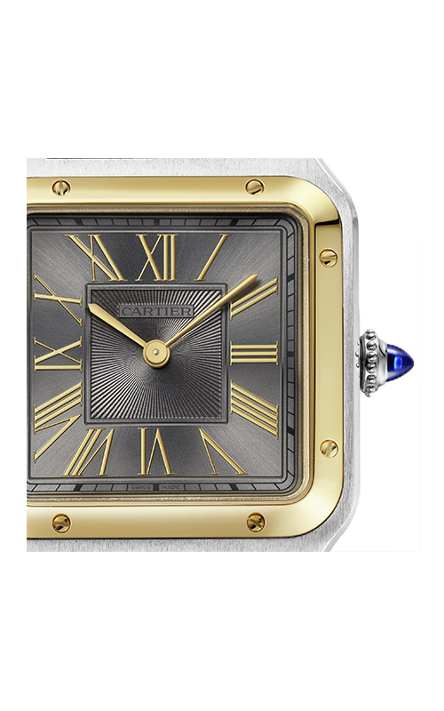 Cartier W2SA0028 Santos Watches