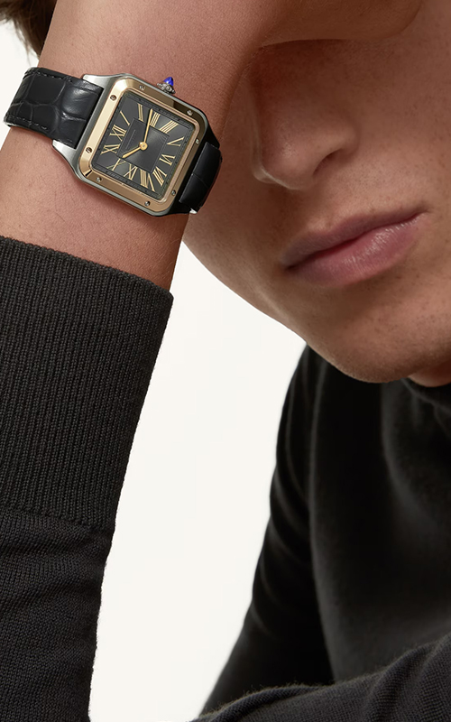Cartier W2SA0028 Santos Watches