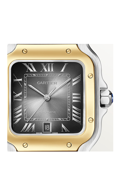 Cartier W2SA0030 Santos Erkek Kol Saati