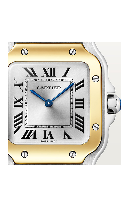 Cartier W2SA0033 Santos Kadın Kol Saati