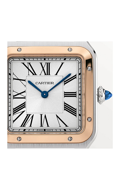 Cartier W2SA0037 Santos Dumont Erkek Kol Saati