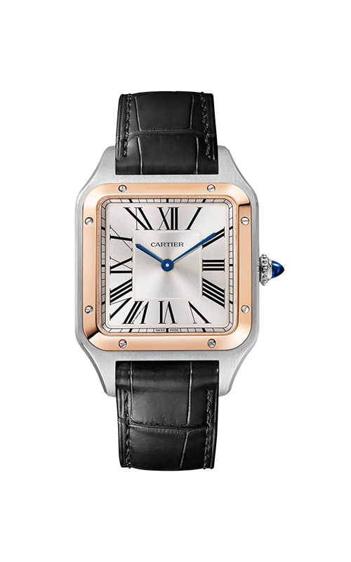 Cartier W2SA0037 Santos Dumont Erkek Kol Saati