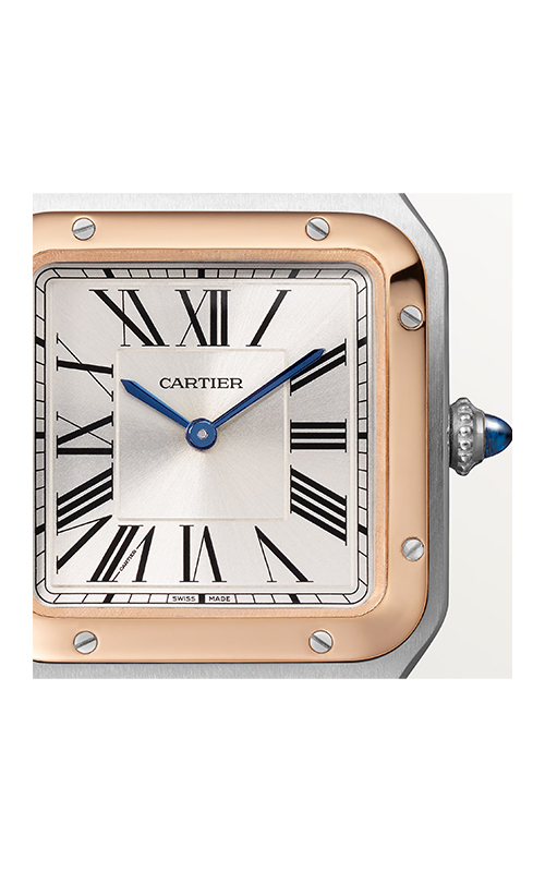 Cartier W2SA0038 Santos Dumont Kadın Kol Saati