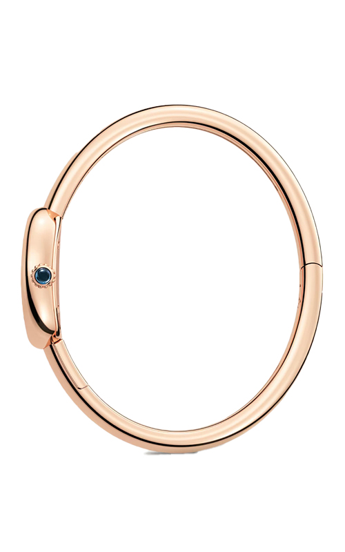 Cartier WGBA0019 Baignoire Watches