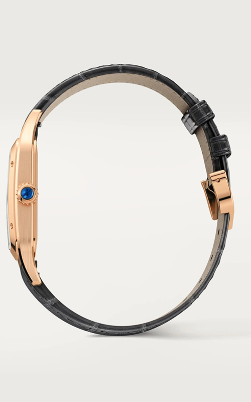 Cartier WGSA0021 Santos Dumont Erkek Kol Saati