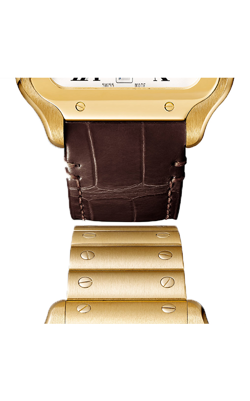 Cartier WGSA0029 Santos Erkek Kol Saati