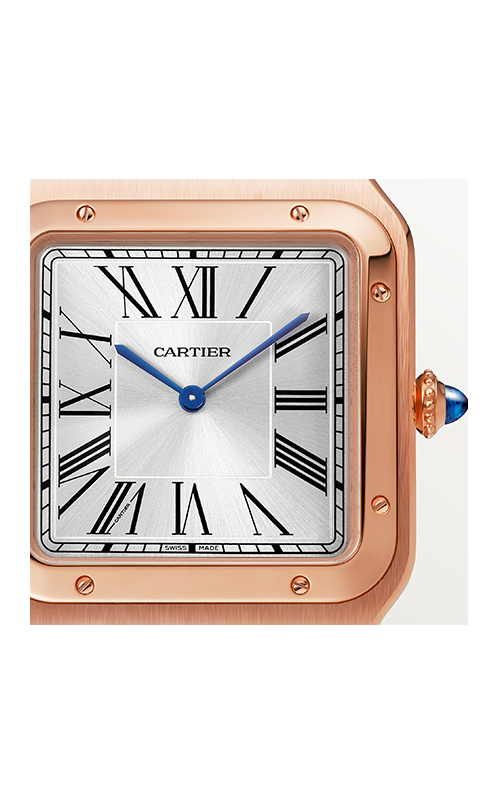 Cartier WGSA0032 Santos Erkek Kol Saati