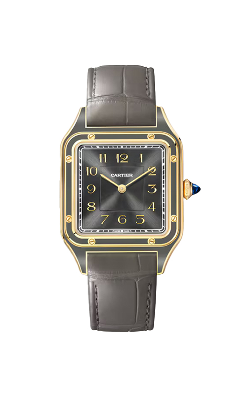 Cartier WGSA0097 Santos Dumont Erkek Kol Saati
