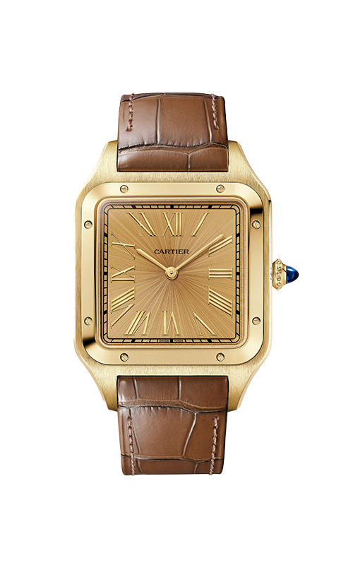 Cartier WGSA0111 Santos Dumont Erkek Kol Saati