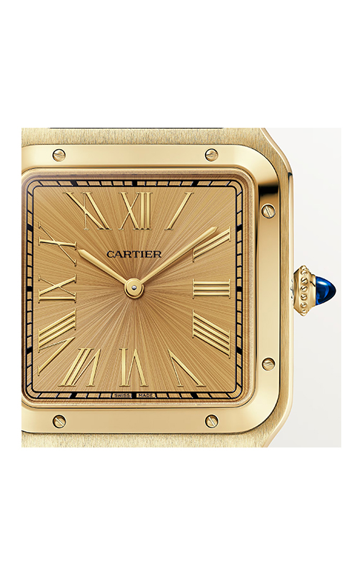 Cartier WGSA0111 Santos Dumont Erkek Kol Saati