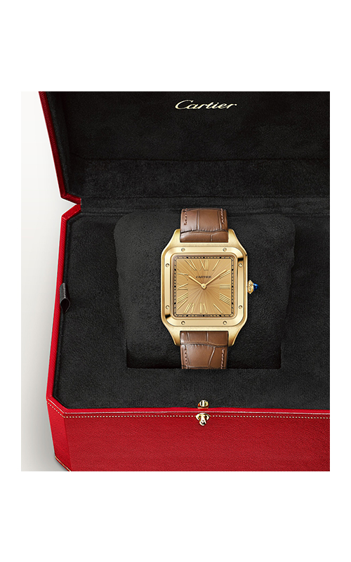 Cartier WGSA0111 Santos Dumont Erkek Kol Saati