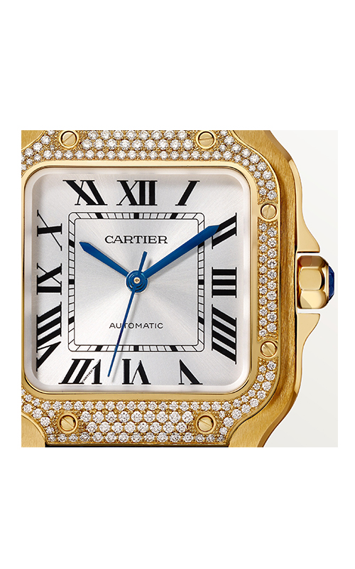Cartier WJSA0013 Santos Kadın Kol Saati