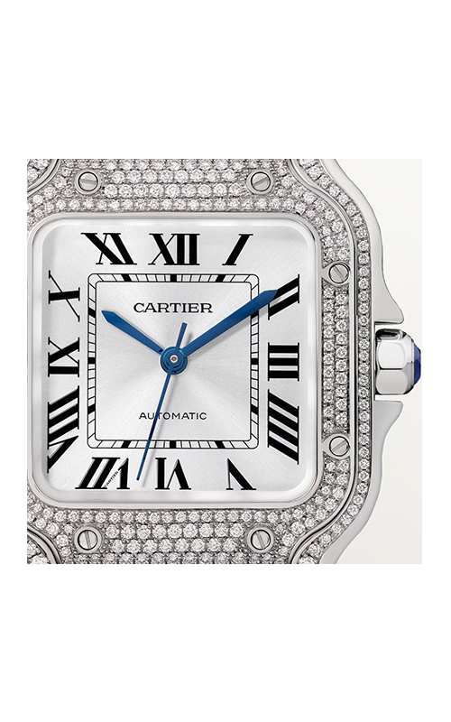 Cartier WJSA0014 Santos Erkek Kol Saati