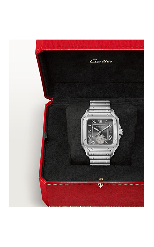 Cartier WSSA0076 Santos Erkek Kol Saati