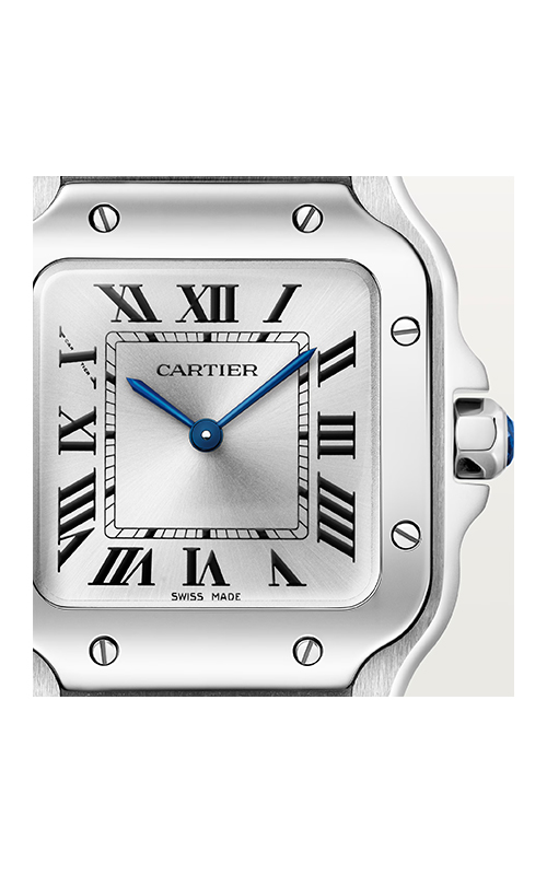 Cartier WSSA0082 Santos Erkek Kol Saati