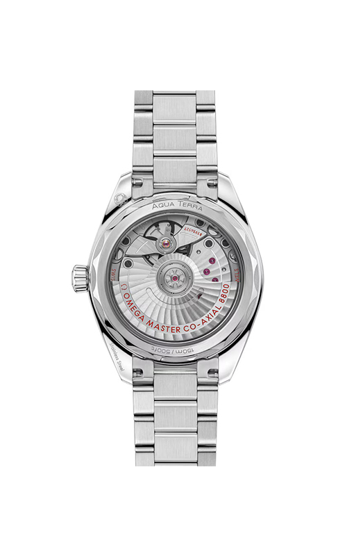 Omega 220.10.34.20.10.002 Aqua Terra Shades Kadın Kol Saati