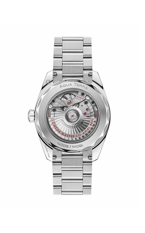 Omega 220.10.38.20.03.003 Aquaterra Erkek Kol Saati