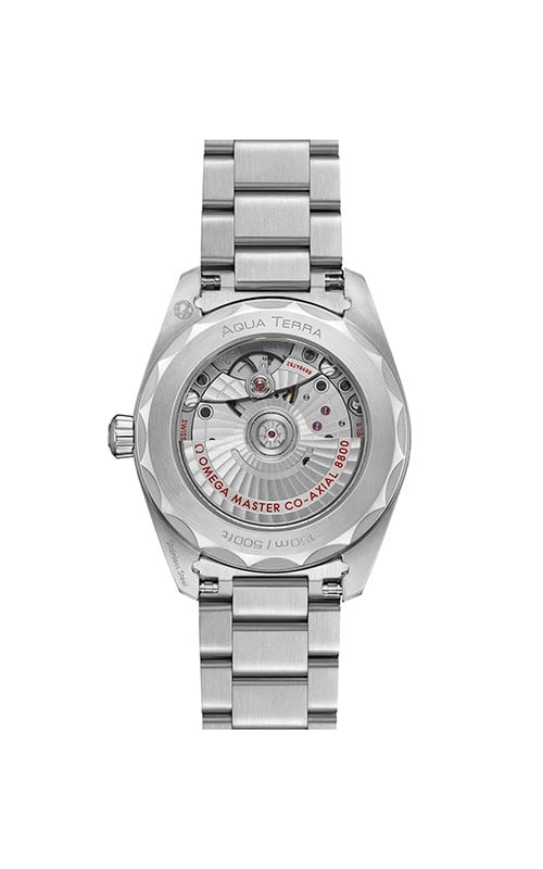 Omega 220.10.38.20.10.003 Aquaterra Erkek Kol Saati
