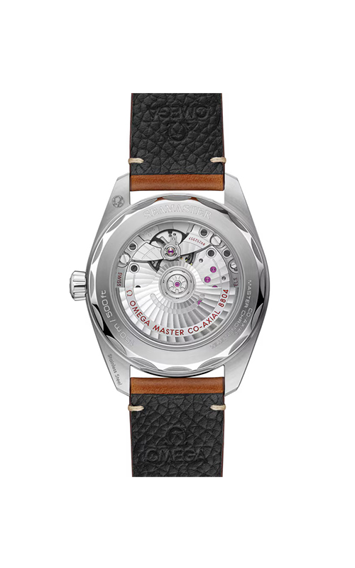 Omega 235.12.38.20.13.001 Seamaster Railmaster Erkek Kol Saati