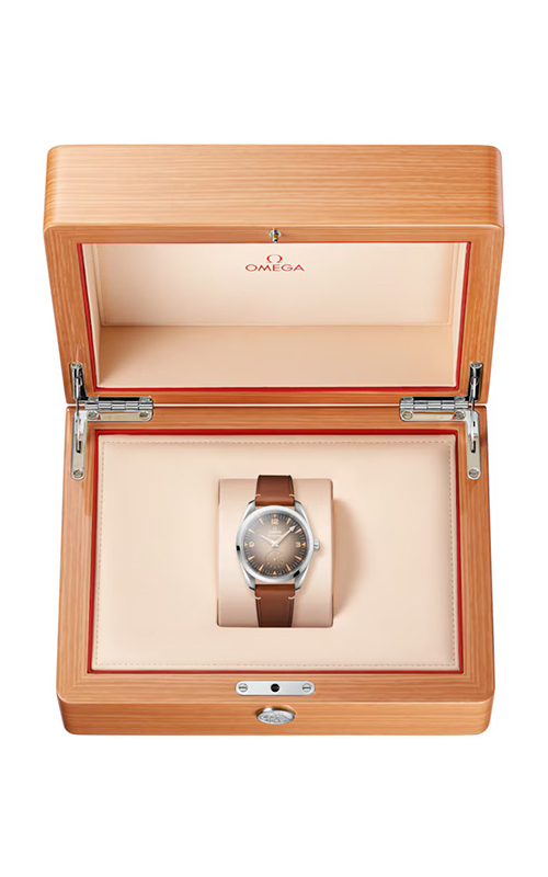 Omega 235.12.38.20.13.001 Seamaster Railmaster Erkek Kol Saati