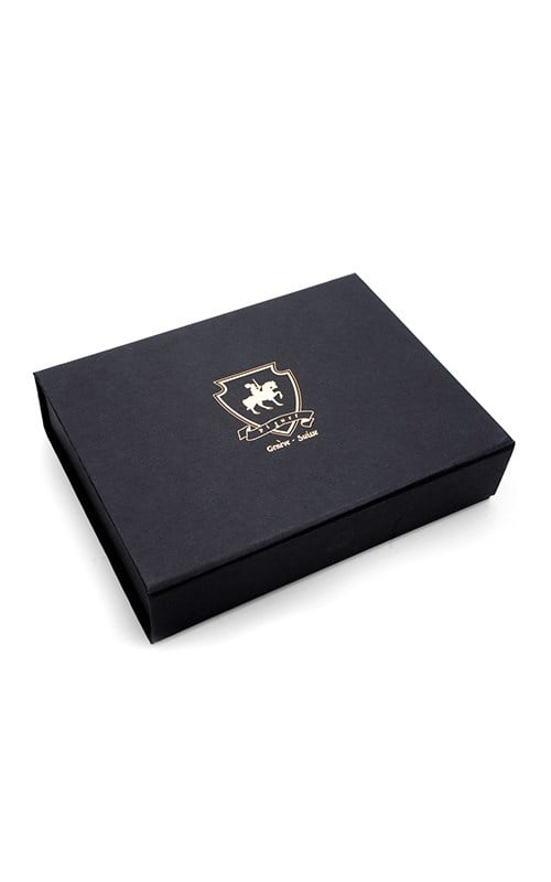 Piguet PGTAURUSTR Classic Fountain Pen Pens