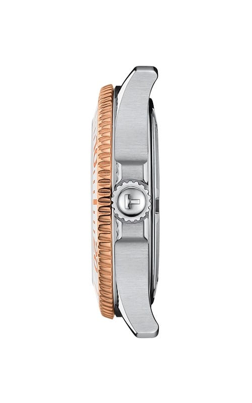Tissot T1202102211100 Seastar 1000 Watches