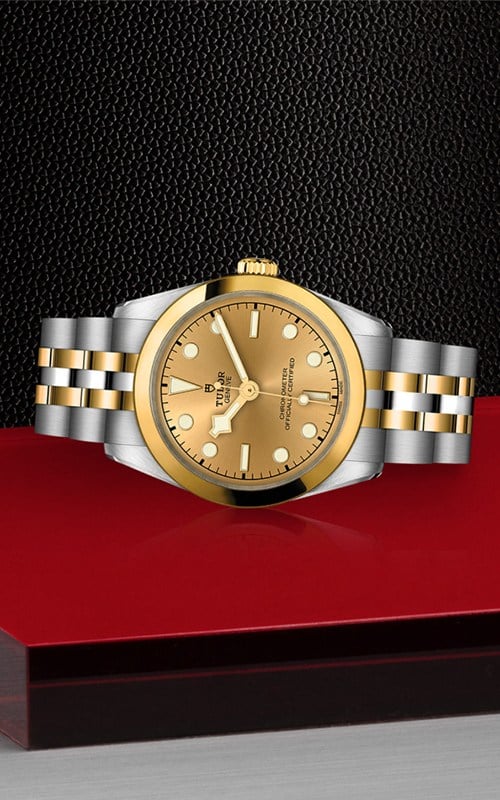 Tudor M79603-0005 Black Bay 31 Watches
