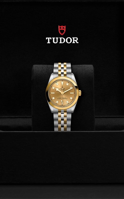 Tudor M79603-0005 Black Bay 31 Watches
