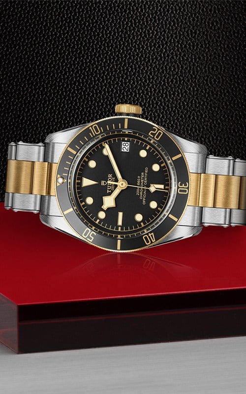 Tudor M79733N-0008 Black Bay Watches