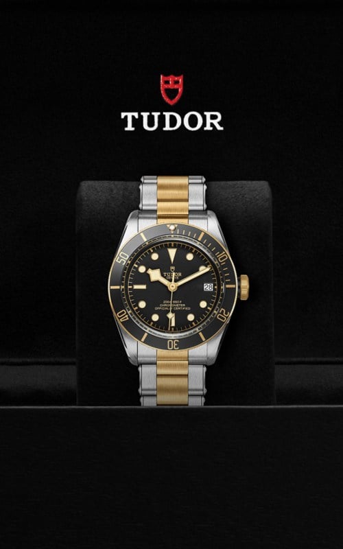 Tudor M79733N-0008 Black Bay Watches