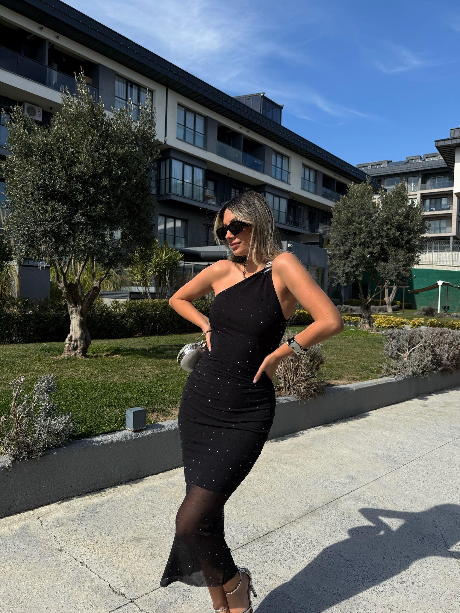 Emily Sıfır Kol Taş İşleme Tül Elbise kelb2209grs