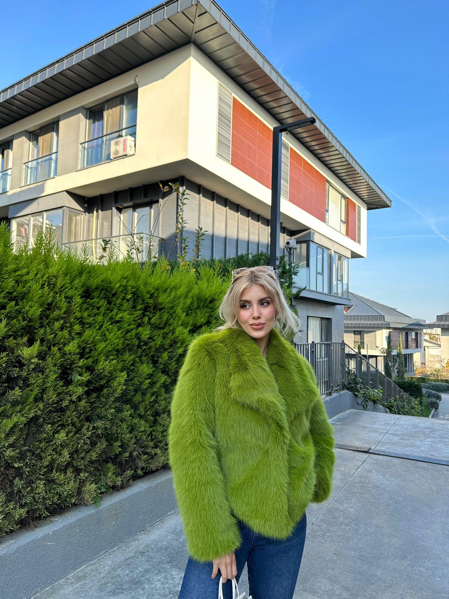 Hilda Zra Model Şal Yaka Fıstık Yeşili 1707434