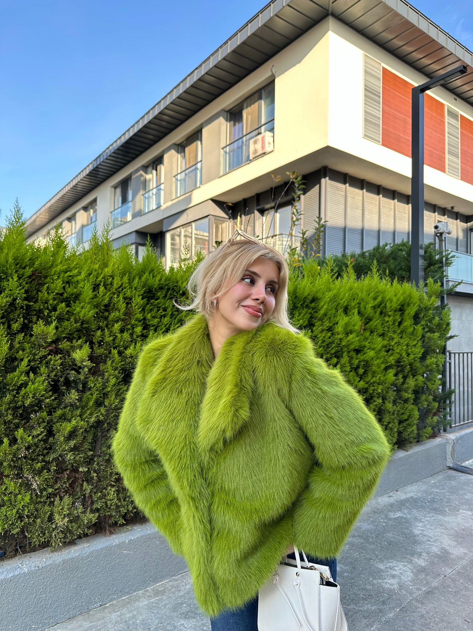 Hilda Zra Model Şal Yaka Fıstık Yeşili 1707434