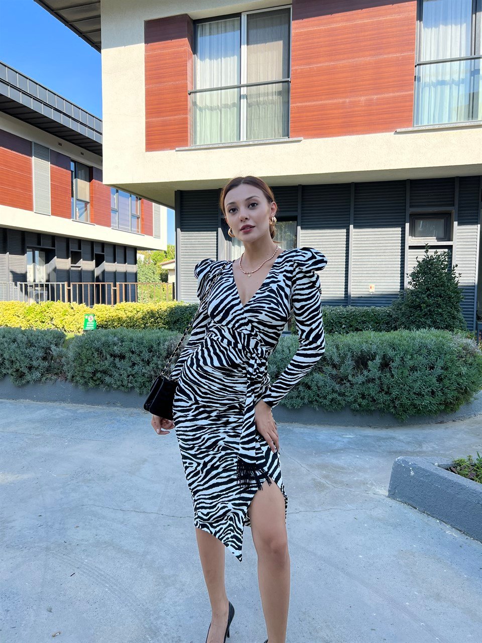 Kenny Zebra Desen Kalem Elbise