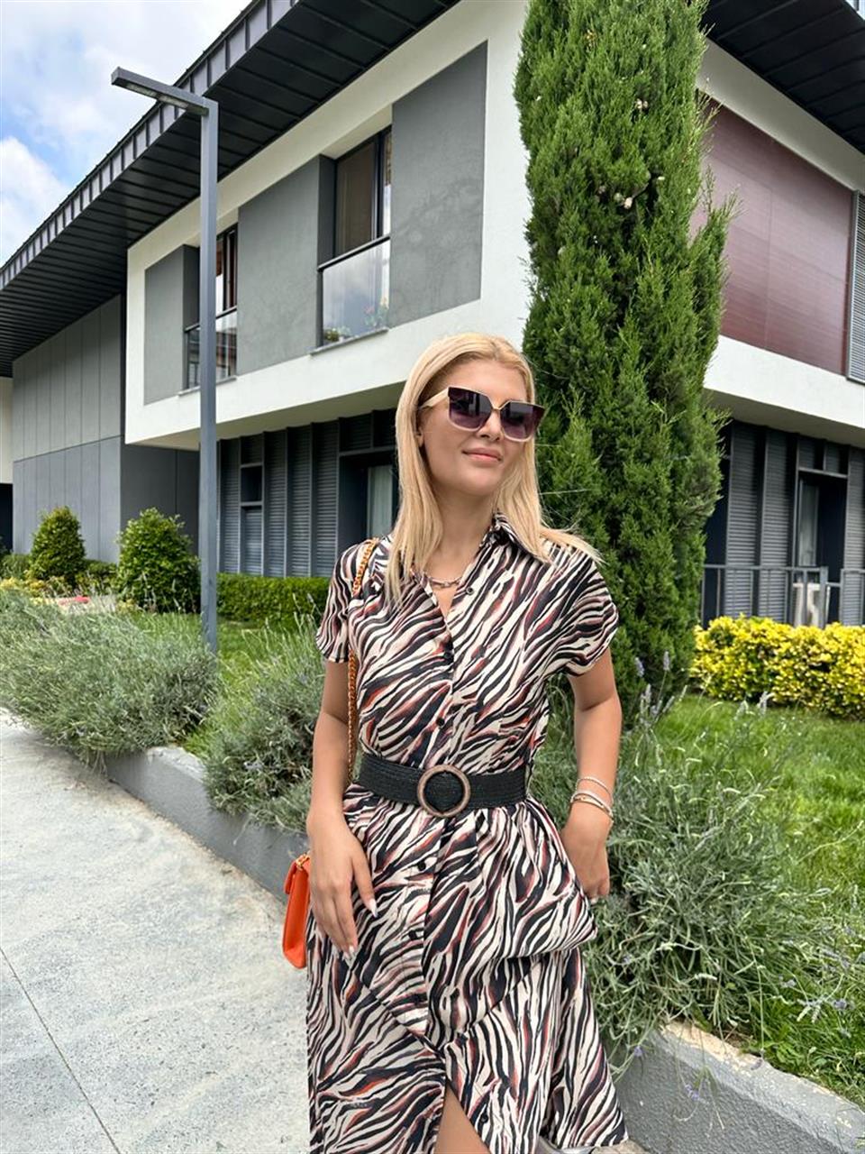 Mathilda Zebra Desen Elbise  1506282