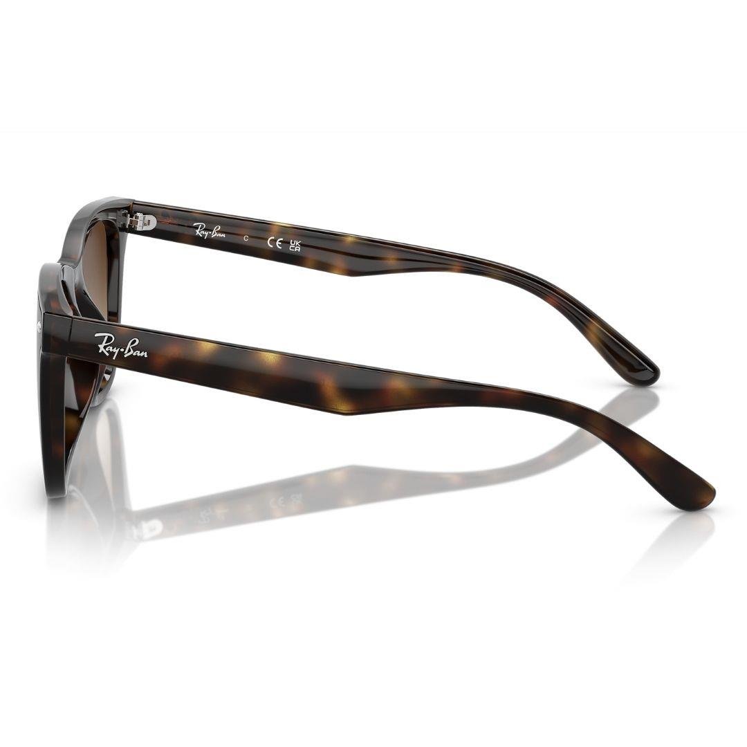 Ray-Ban Güneş Gözlüğü 4420 710/13 65-18 / unisex güneş gözlüğü