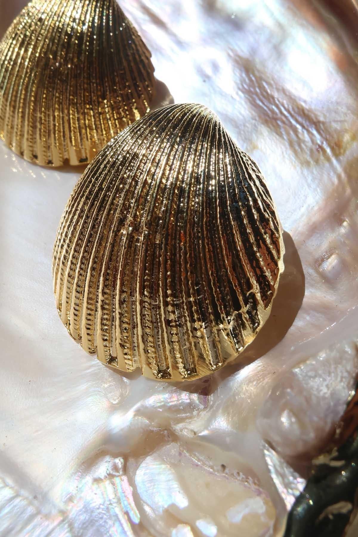 Küçük Deniz Kabuğu Küpe Gold