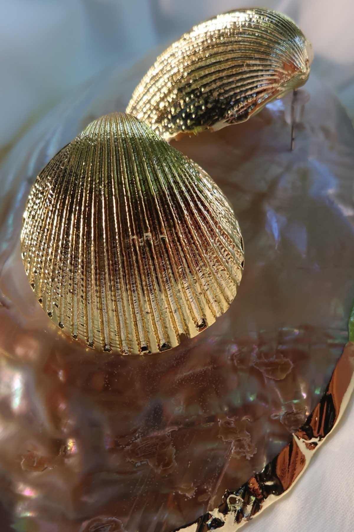 Küçük Deniz Kabuğu Küpe Gold