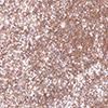 INGLOT Shimmer Glow Işıltılı Göz Farı   | Shimmer Glow Eyeshadow 