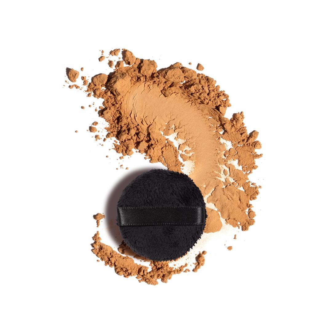Perfect Finish Loose Powder 4g 