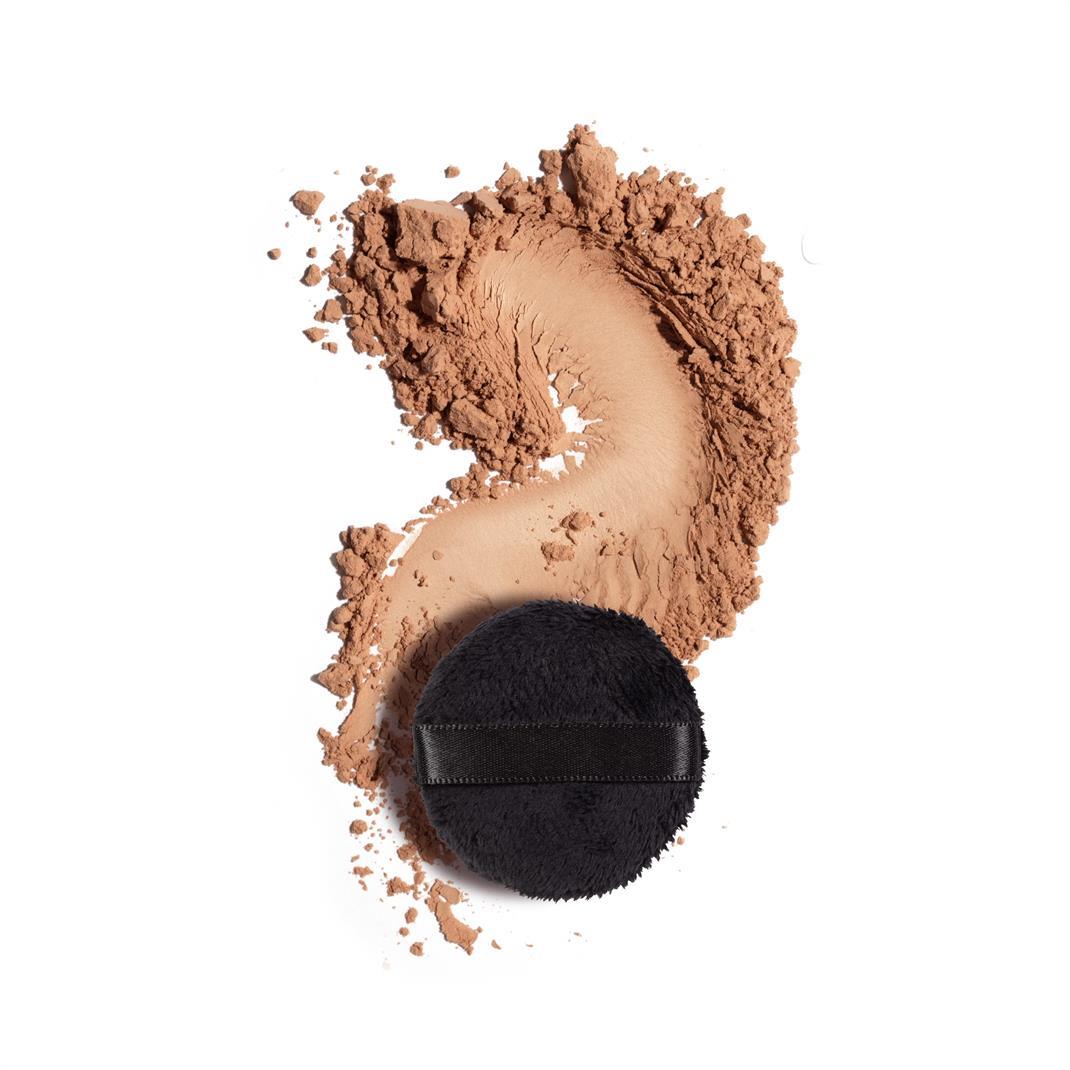 Perfect Finish Loose Powder 4g 