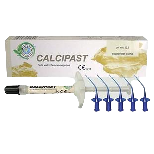 Cerkamed Calcıpast Kalsiyum Hidroksit Şırınga