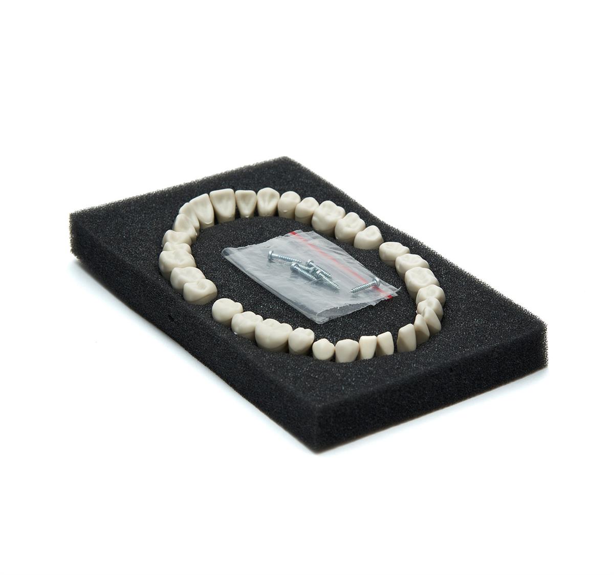 Eli̇te Fantom Çene Yedek Di̇ş Seti̇