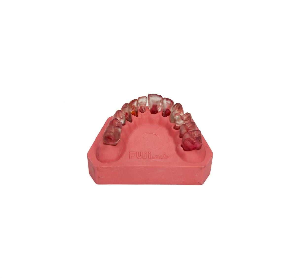 Endodontik çene 