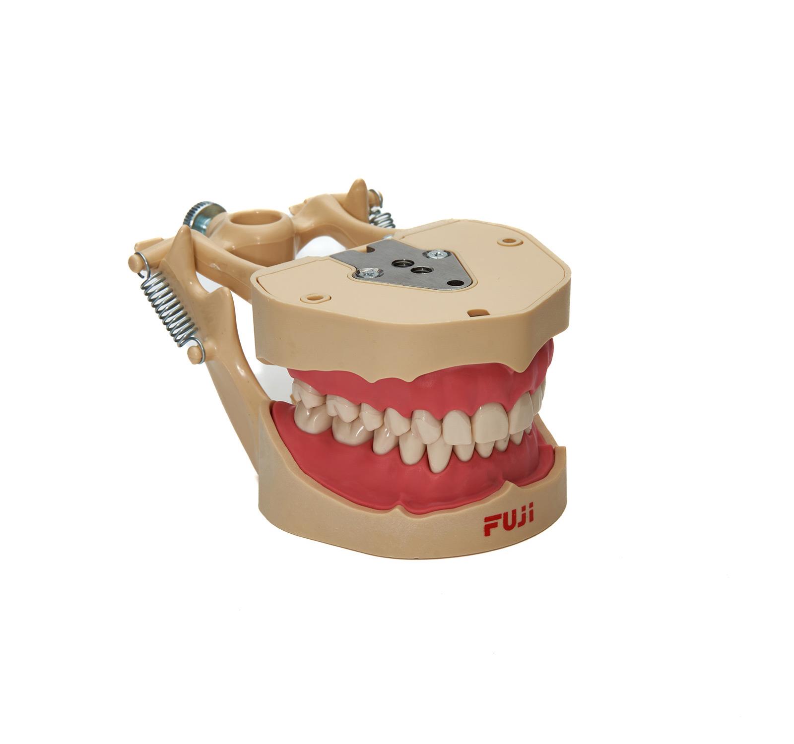 Fuji Fantom Etli Çene 28 'lik