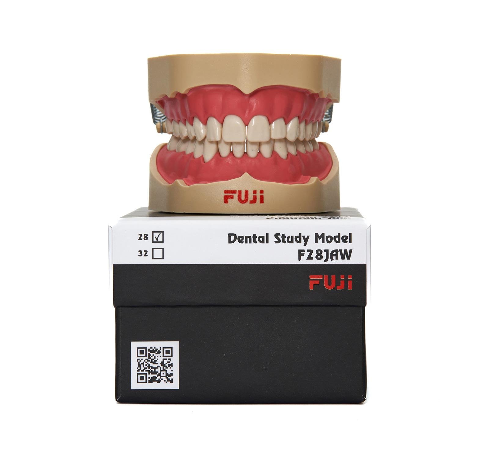 Fuji Fantom Etli Çene 28 'lik