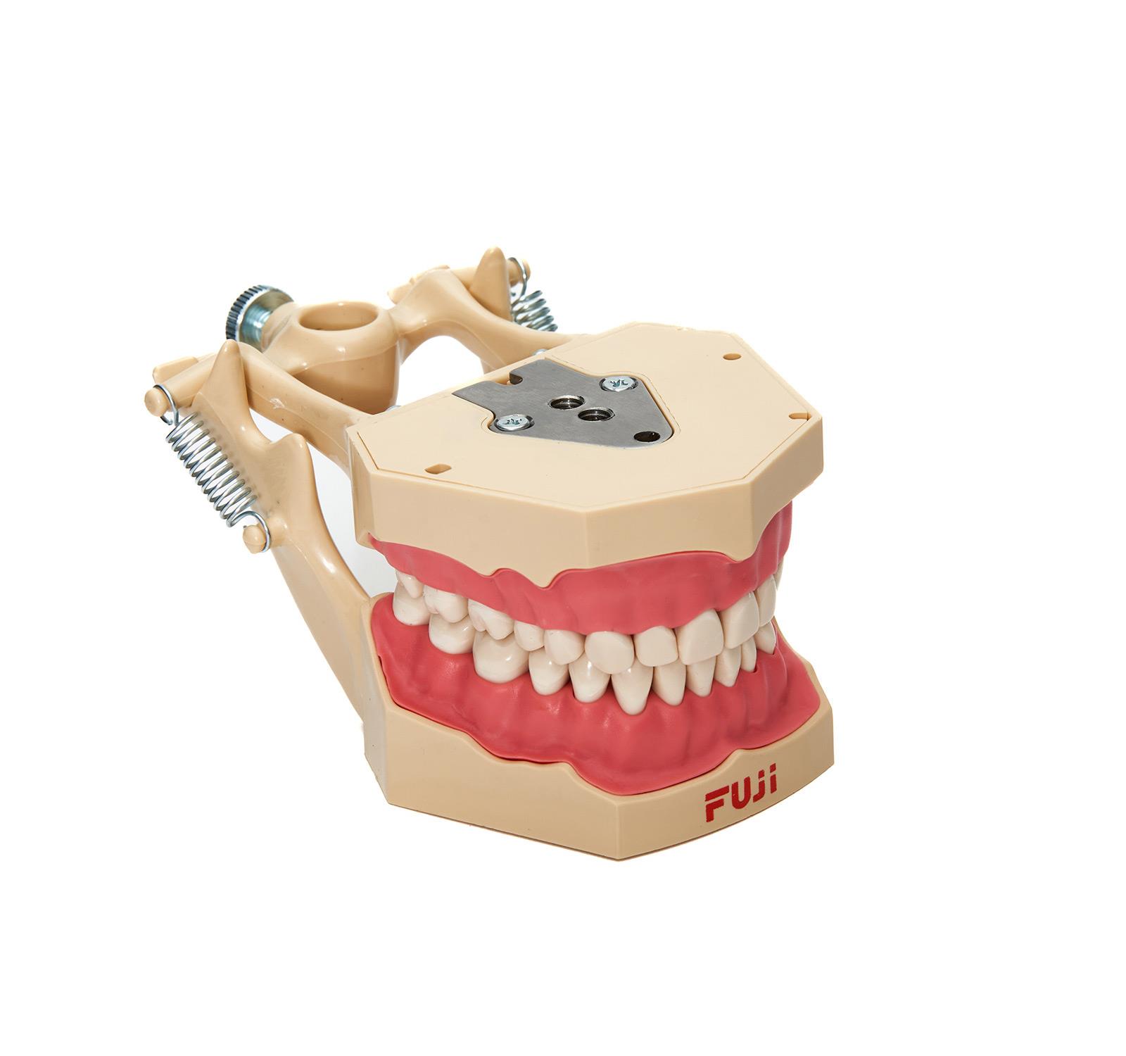 Fuji Fantom Etli Çene 32 'lik