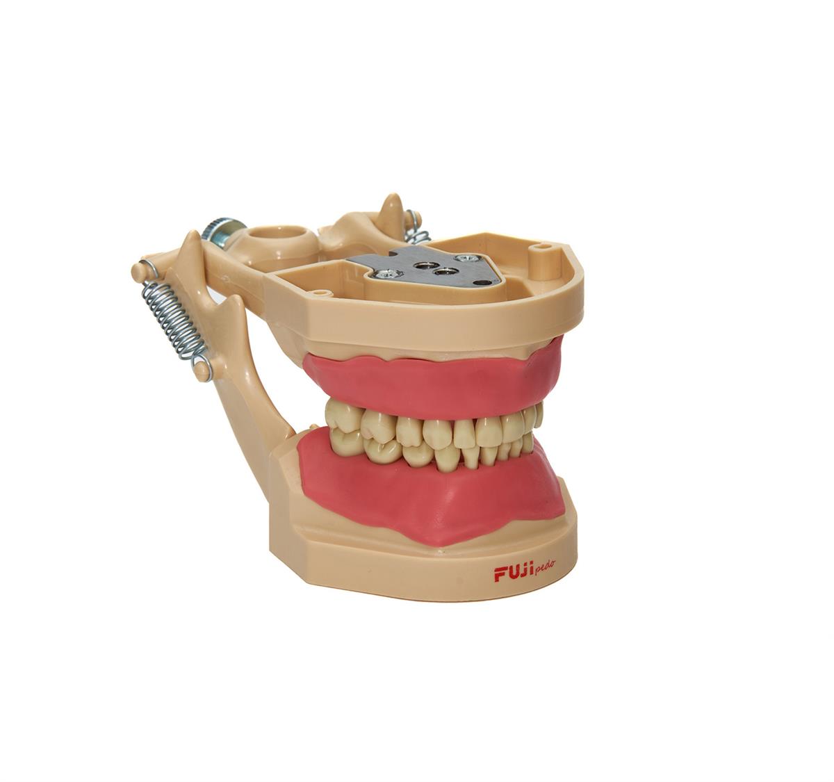 Fuji Pedodontik Fantom Çene