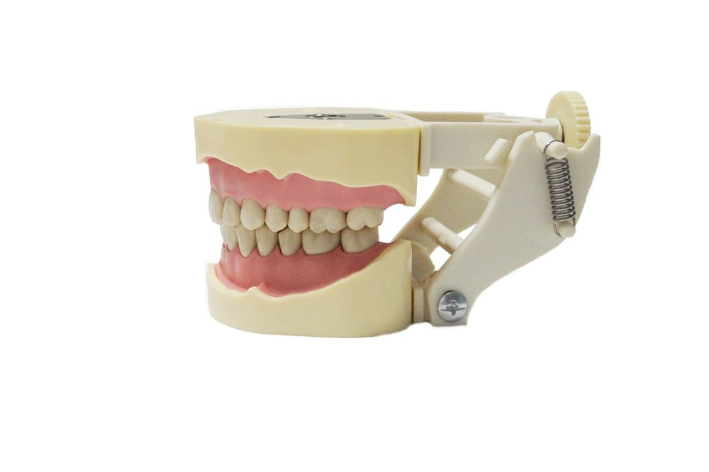 FUJİ PLUS 28 LİK ÇENE 